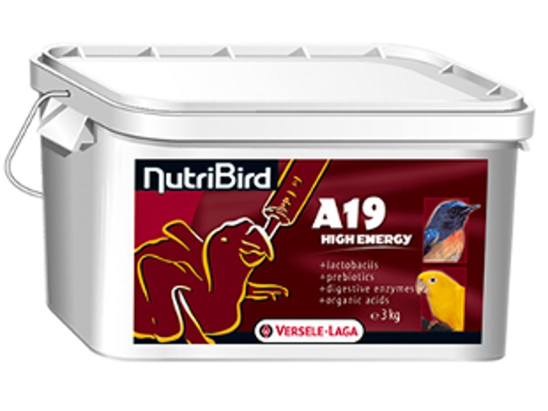  Versele laga Nutribird A19 High Energy Handfeeding Formula Baby Bird Food