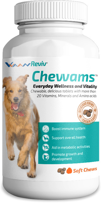 Vvaan Chevvams Multivitamin Mineral and Amino Acids Chicken Flavour ...