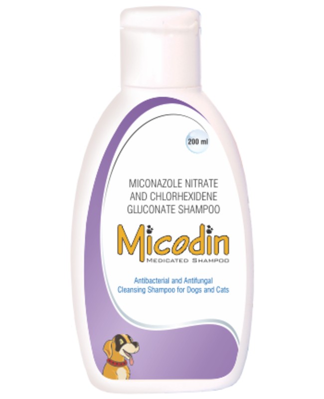 Intas Micodin Chlorohexidine and Miconazole Antibacterial and Antifungal Shampoo for Dogs and Cats