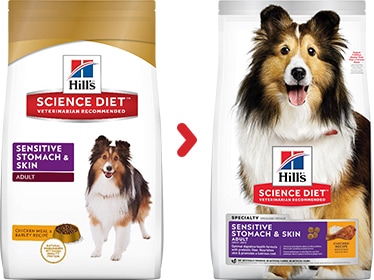 Hills Science Diet Sensitive Stomach & Skin Adult Dog Food - Ofypets