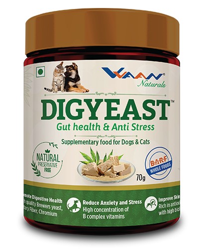 Vvaan Digyeast Gut Health and Anti Stress Supplementary Food for Dogs and Cats