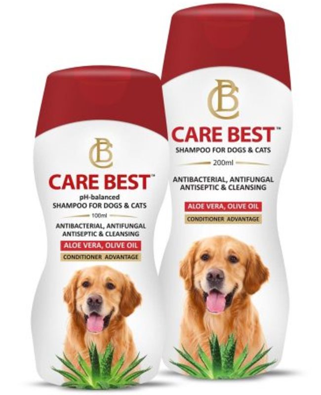 medicated dog shampoo