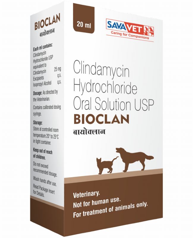 can you give a dog clindamycin