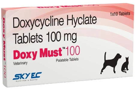 SkyEc Doxy Must AntiBiotic Tablets 100mg / 300mg 10's