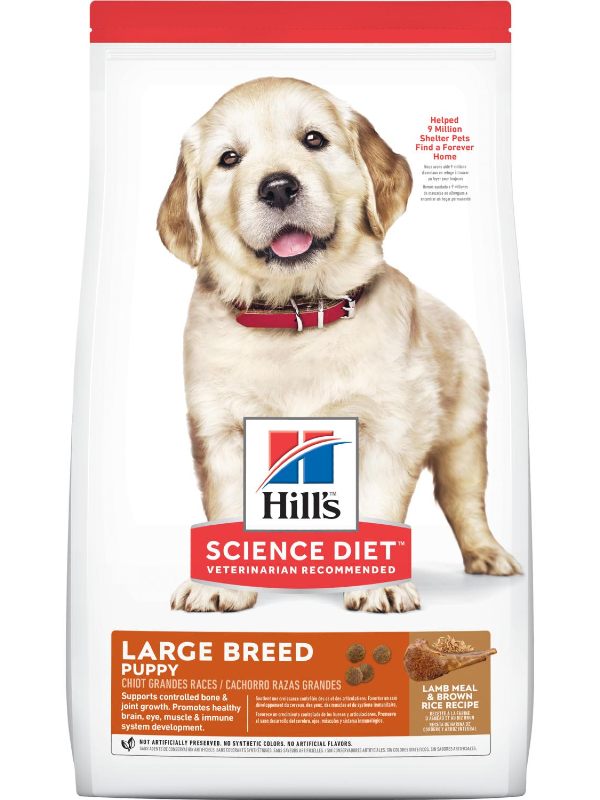 Hills Science Diet Lamb Meal & Rice Large Breed Puppy Food - Ofypets