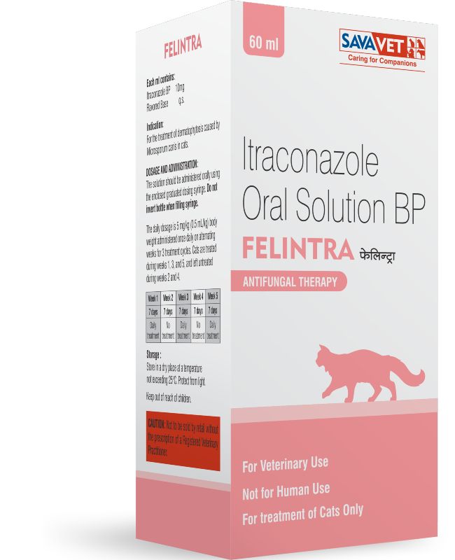 Savavet Felintra Itraconazole Oral Solution Antifungal Therapy for Cats