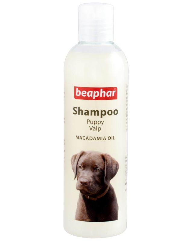 Beaphar Macadamia Oil Puppy Shampoo - Ofypets