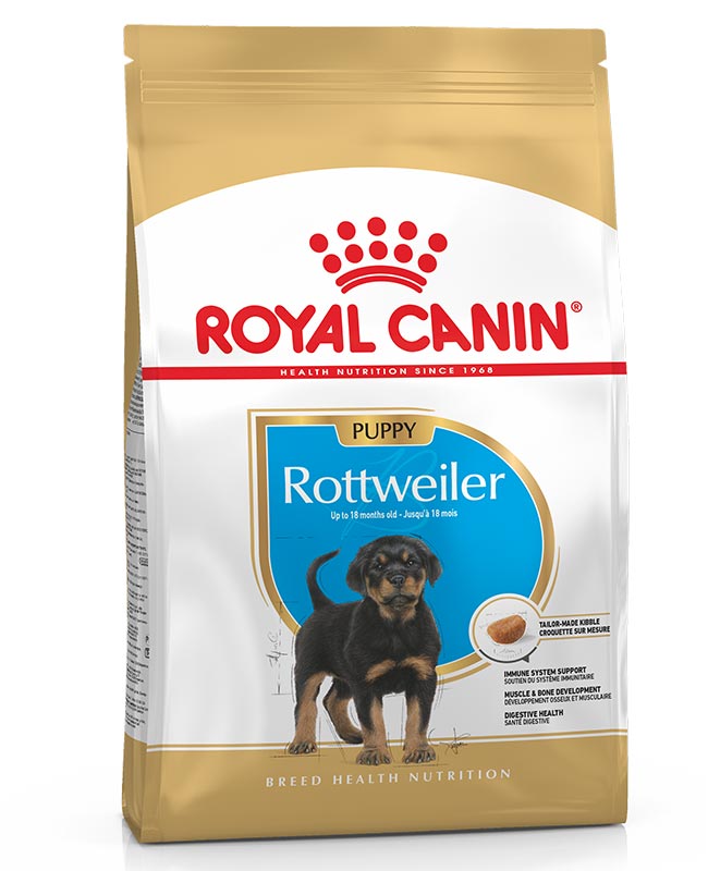 royal doulton rottweiler